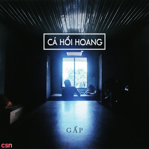 Cá Hồi Hoang