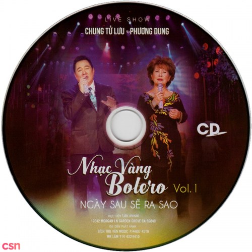 Nhạc Vàng Bolero: Ngày Sau Sẽ Ra Sao