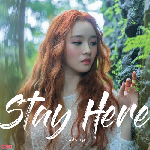 Stay Here (Single)
