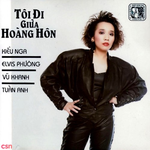 Tôi Đi Giữa Hoàng Hôn