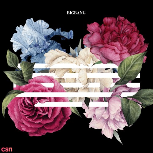 Flower Road (Single)