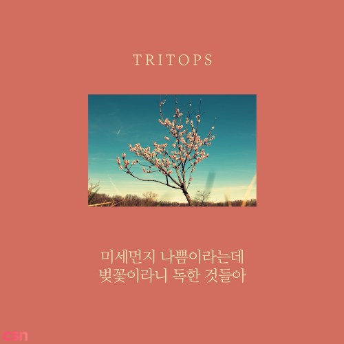 Tritops
