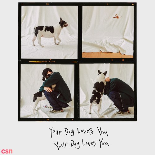 Your Dog Loves You (Single)