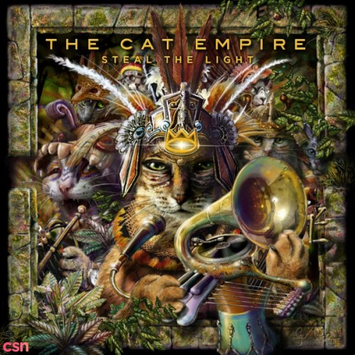 The Cat Empire