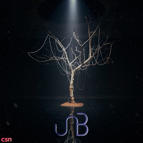 UNB