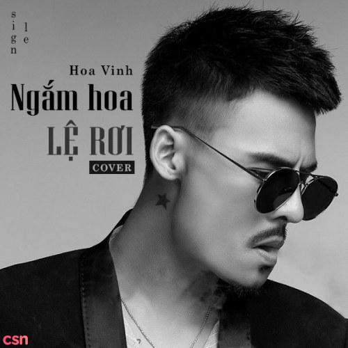 Ngắm Hoa Lệ Rơi (Single)