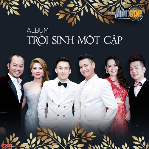 Trời Sinh Một Cặp