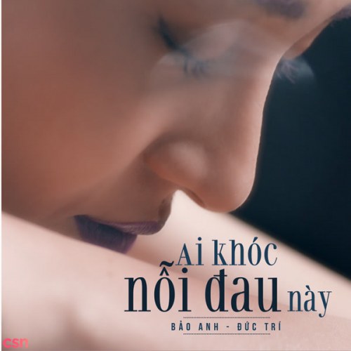 Ai Khóc Nỗi Đau Này (Single)