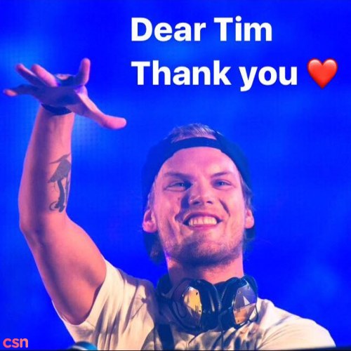 Dear Tim (Thank you Avicii)