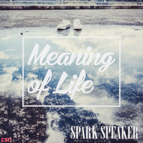 SPARK SPEAKER