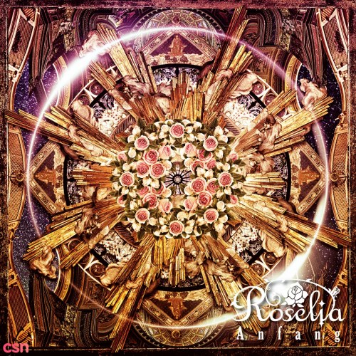 Roselia