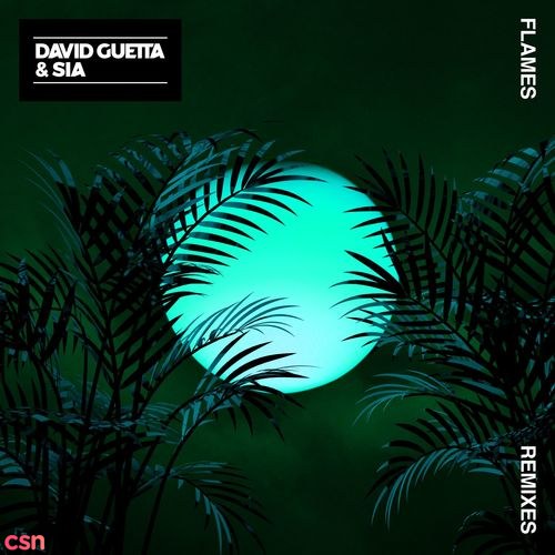 David Guetta