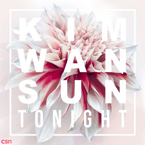 Kim Wan Sun