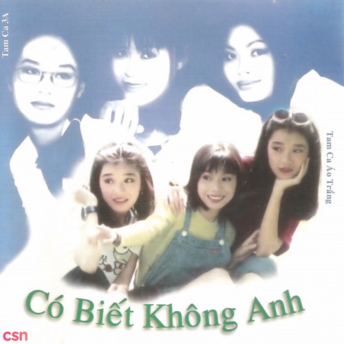 Có Biết Không Anh