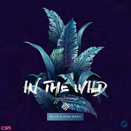 In The Wild - Single