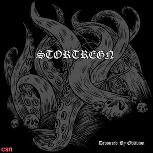 Stortregn