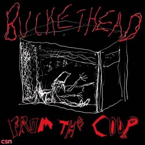 Buckethead