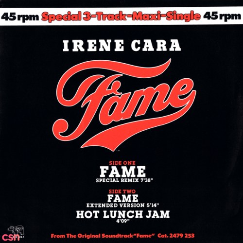 Fame (Special Mix) (Netherlands 12″)