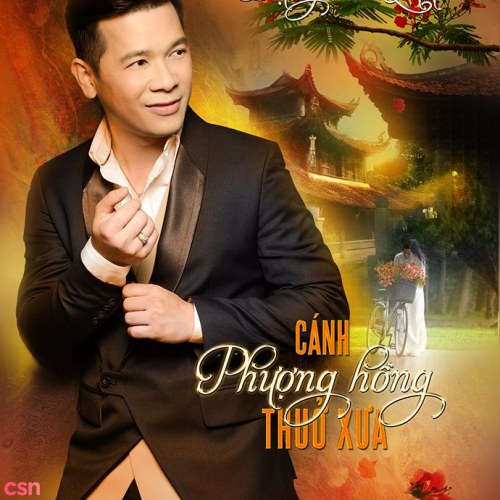 Cánh Phượng Hồng Thuở Xưa