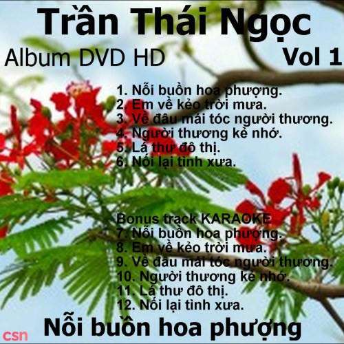 Nỗi Buồn Hoa Phượng