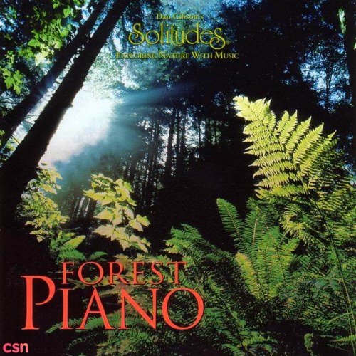 Forest Piano (Exploring Nature With Music)