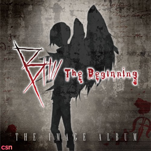 B: The Beginning THE IMAGE ALBUM