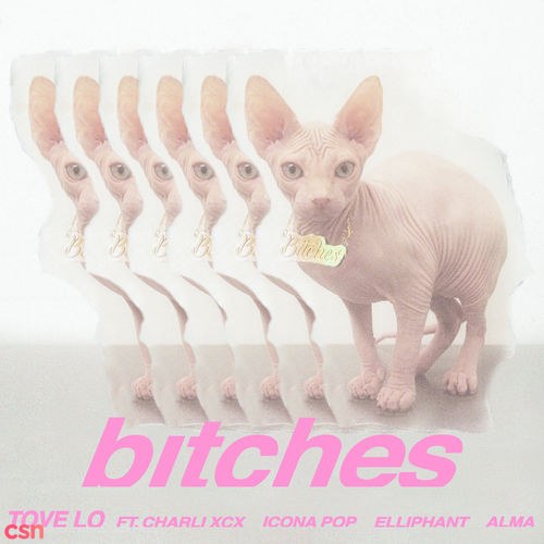 Bitches (Single)