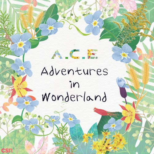 A.C.E Adventures In Wonderland (Regular)