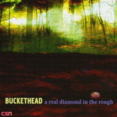 Buckethead