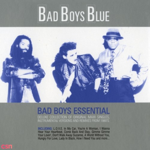 Bad Boys Essential (CD1)