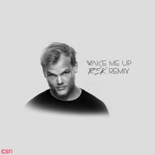 Wake Me Up (REK Remix) (Single)
