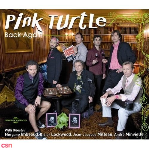 Pink Turtle