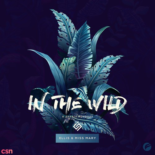 In The Wild (Single)