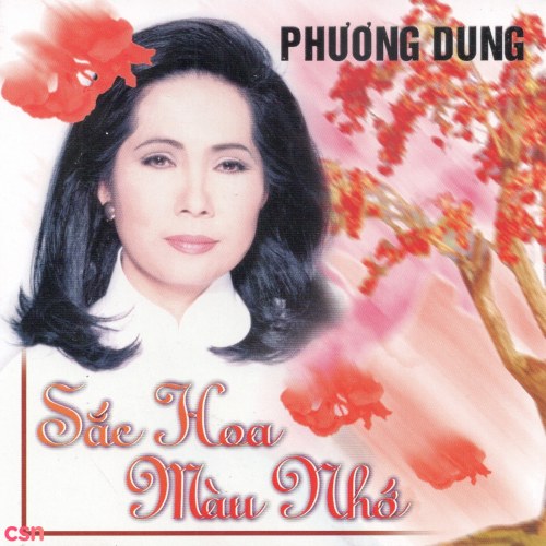 Sắc Hoa Màu Nhớ