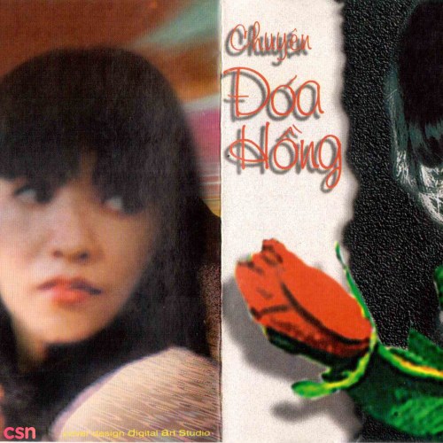 Chuyện Đoá Hồng