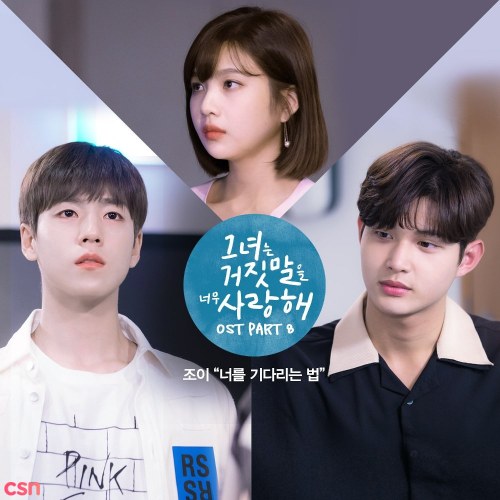 The Liar And His Lover OST Part.8 (Single)
