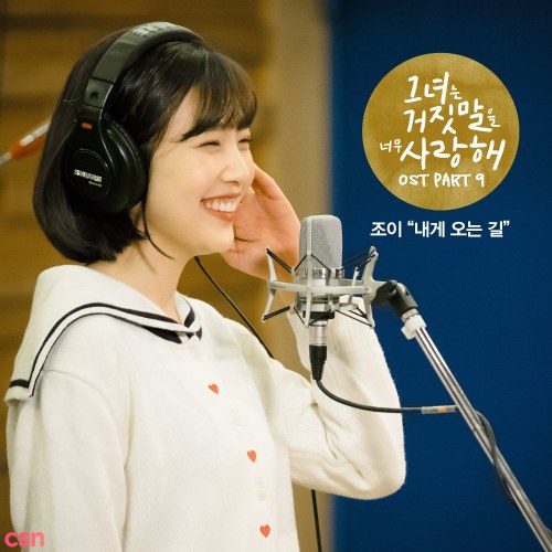 The Liar And His Lover OST Part.9 (Single)