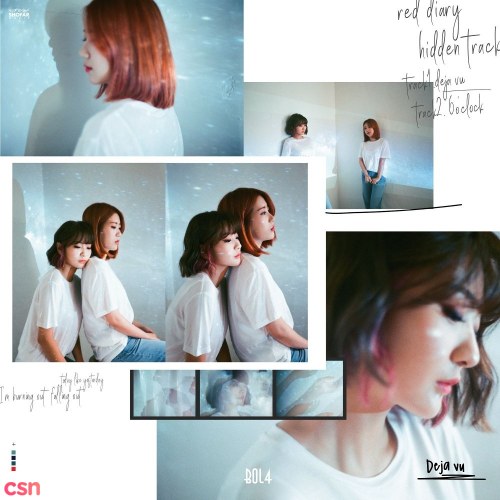 Red Diary 'Hidden Track' (Single)