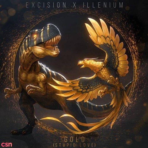 Excision