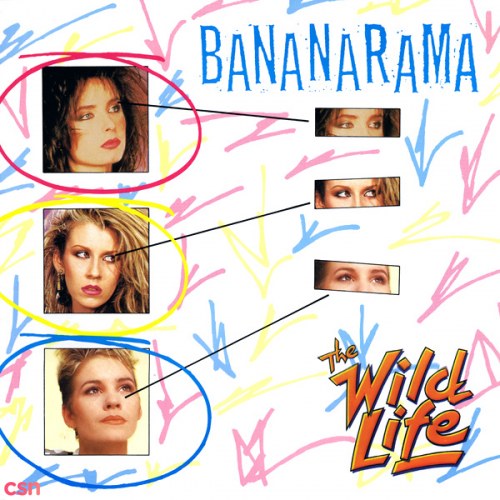 The Wild Life (Canada 12″)