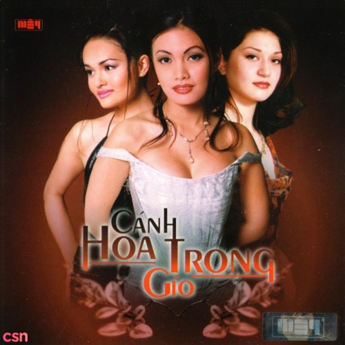 Cánh Hoa Trong Gió