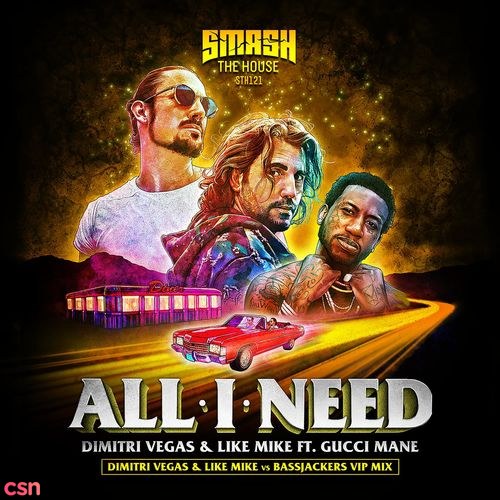 All I Need (DVLM X Bassjackers VIP MIX) (Single)