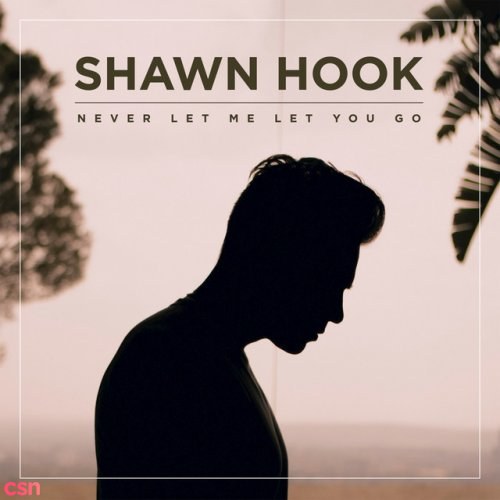 Shawn Hook