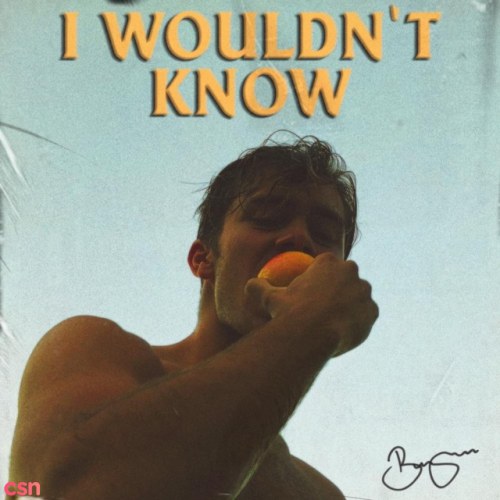 I Wouldn't Know (Single)