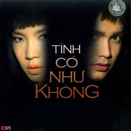 Tình Có Như Không