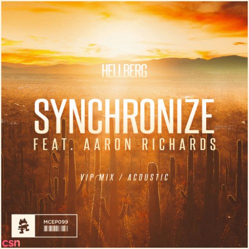 Synchronize (VIP Mix / Acoustic)