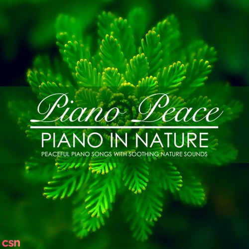 Piano In Nature