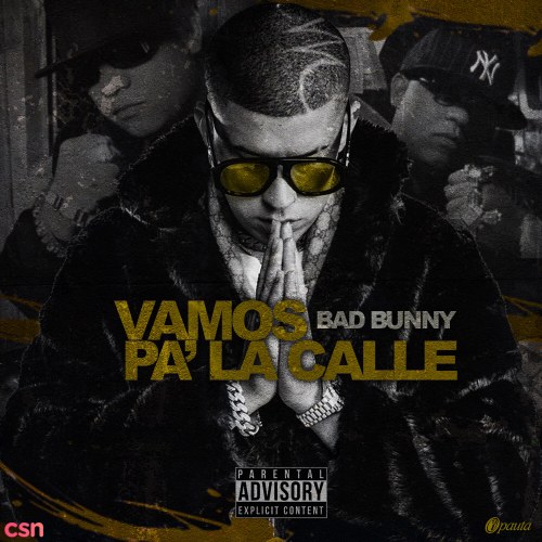 Vamos Pa La Calle (Single)