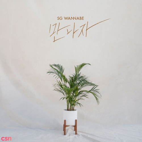 SG Wannabe