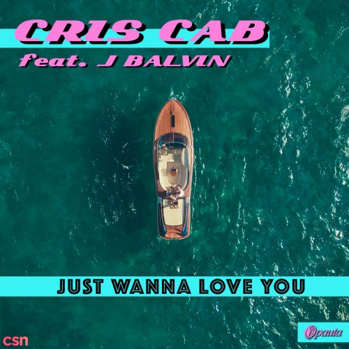 Just Wanna Love You (Single)